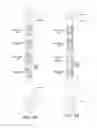 Fig. 03 - Micro-tube particles for microfluidic assays and methods of manufacture