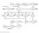 Fig. 01 - Process for cleaning dirty post-consumer waste glass