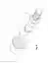 Fig. 14 - Quick connect showerhead