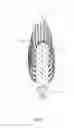 Fig. 02 - Rotating cleaning brush