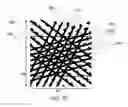 Fig. 10 - Abrasive particles having particular shapes and methods of forming such particles