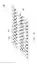 Fig. 20 - Abrasive particles having particular shapes and methods of forming such particles