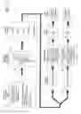 Fig. 02 - PROCESS & ASSEMBLY FOR RECYCLING SCRAP MATERIAL IN ANY OF A NUMBER OF REUSABLE FORMS INCLUDING POWDER, PELLETS, SHEETS, PREFORMS & EXTRUSIONS