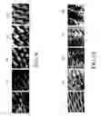 Fig. 07 - SUPERHYDROPHOBIC STRUCTURE AND METHOD OF MAKING THE SAME