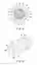 Fig. 13 - Kneading apparatus with first and second extruders