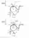 Fig. 09 - Fixing device of plurality of sheets associated with absorbent article, and fixing method