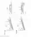 Fig. 09 - Recording apparatus