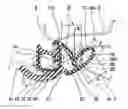 Fig. 01 - Opening trim weather strip