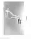Fig. 04 - Camber adjusting assembly