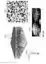 Fig. 30 - Systems and methods for vehicle subassembly and fabrication