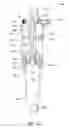 Fig. 07 - Bicycle air spring