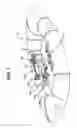 Fig. 02 - Knee braces for boats