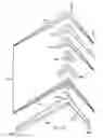Fig. 32 - One-piece composite bifurcated winglet