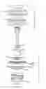 Fig. 06 - Lid for container with rotatable reclosable spout