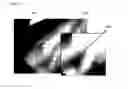 Fig. 22 - Graphite film and method for producing graphite film