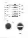Fig. 32 - Graphite film and method for producing graphite film