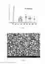 Fig. 03 - Method for preparing nanometer titanium dioxide