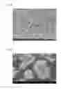 Fig. 06 - POSITIVE ELECTRODE ACTIVE MATERIAL FOR NONAQUEOUS SECONDARY BATTERIES, METHOD FOR PRODUCING SAME, AND NONAQUEOUS ELECTROLYTE SECONDARY BATTERY USING POSITIVE ELECTRODE ACTIVE MATERIAL