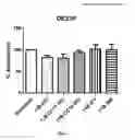 Fig. 06 - Anti-angiogenic compounds