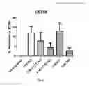 Fig. 09 - Anti-angiogenic compounds