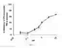 Fig. 04 - COMPOSITIONS AND METHODS FOR THE TREATMENT OF SARCOIDOSIS
