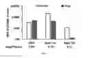 Fig. 06 - COMPOSITIONS AND METHODS FOR THE TREATMENT OF SARCOIDOSIS