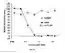 Fig. 09 - COMPOSITIONS AND METHODS FOR THE TREATMENT OF SARCOIDOSIS
