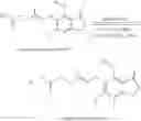 Fig. 25 - COMPOSITIONS AND METHODS FOR THE TREATMENT OF SARCOIDOSIS