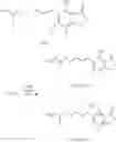 Fig. 37 - COMPOSITIONS AND METHODS FOR THE TREATMENT OF SARCOIDOSIS