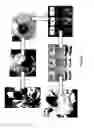 Fig. 09 - ANTIMICROBIALS FROM AN EPIGENETICS BASED FUNGAL METABOLITE SCREENING PROGRAM