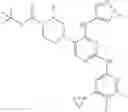 Fig. 46 - Triaminopyrimidine compounds useful for preventing or treating malaria