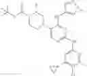 Fig. 53 - Triaminopyrimidine compounds useful for preventing or treating malaria