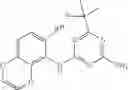 Fig. 45 - Diaminotriazine compounds as herbicides