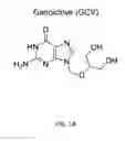 Fig. 02 - Ganciclovir derivatives for modulating innate and adaptive immunity and for use in immunotherapy