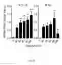 Fig. 07 - Ganciclovir derivatives for modulating innate and adaptive immunity and for use in immunotherapy