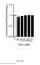 Fig. 09 - Ganciclovir derivatives for modulating innate and adaptive immunity and for use in immunotherapy