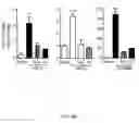 Fig. 45 - Ganciclovir derivatives for modulating innate and adaptive immunity and for use in immunotherapy