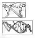 Fig. 03 - Pyrrolobenzodiazepine compounds