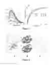 Fig. 04 - Marinopyrrole derivatives and methods of making and using same