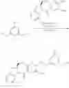 Fig. 587 - Methods of preparing cytotoxic benzodiazepine derivatives