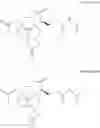 Fig. 21 - Molecular Imaging Probes