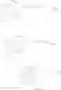 Fig. 31 - Molecular Imaging Probes