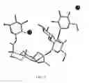 Fig. 05 - Rebaudioside A Crystal And Its Preparation Method And Use