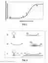 Fig. 02 - Primers and methods for nucleic acid amplification