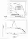 Fig. 06 - Primers and methods for nucleic acid amplification