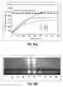 Fig. 11 - Primers and methods for nucleic acid amplification