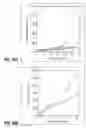 Fig. 12 - Primers and methods for nucleic acid amplification