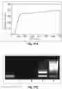 Fig. 13 - Primers and methods for nucleic acid amplification