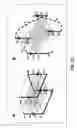 Fig. 16 - Primers and methods for nucleic acid amplification