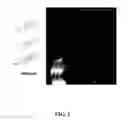 Fig. 02 - Ship inhibitors and uses thereof